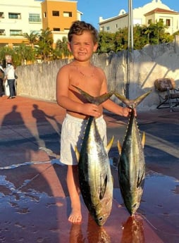 Mahi Mahi / Dorado fishing in Punta Cana, La Altagracia Province