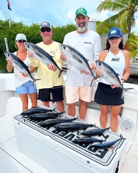 Blackfin Tuna, False Albacore Fishing in Islamorada, Florida