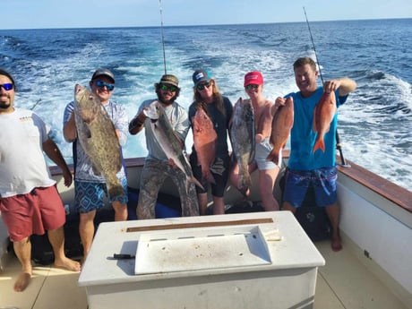 Amberjack, Gag Grouper, Mangrove Snapper, Vermillion Snapper Fishing in Fernandina Beach, Florida