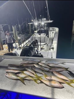Yellowtail Snapper Fishing in Key Largo, Florida