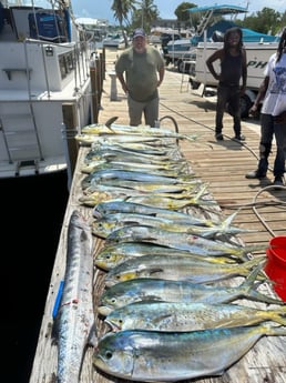 Barracuda, Mahi Mahi Fishing in Key Largo, Florida