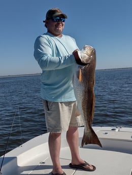 Redfish Fishing in Biloxi, Mississippi