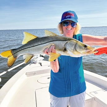 Snook Fishing in Cape Coral, Florida