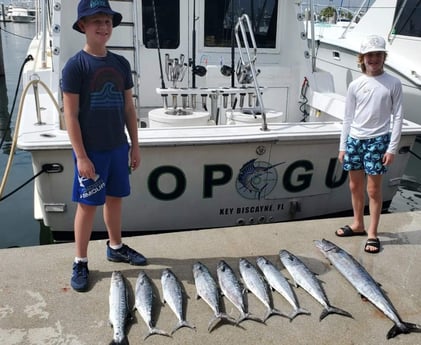 King Mackerel / Kingfish, Wahoo Fishing in Hillsboro Beach, Florida