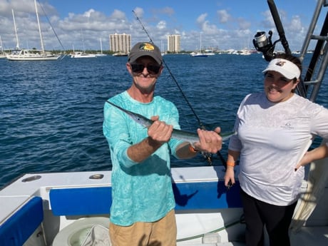 Needlefish Fishing in West Palm Beach, Florida