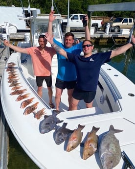 Lionfish, Triggerfish fishing in Islamorada, Florida