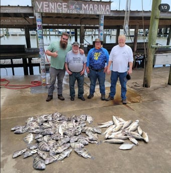 Flounder, Redfish, Sheepshead Fishing in Boothville-Venice, Louisiana, USA