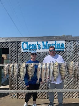 Redfish, Sheepshead, Speckled Trout Fishing in Corpus Christi, Texas