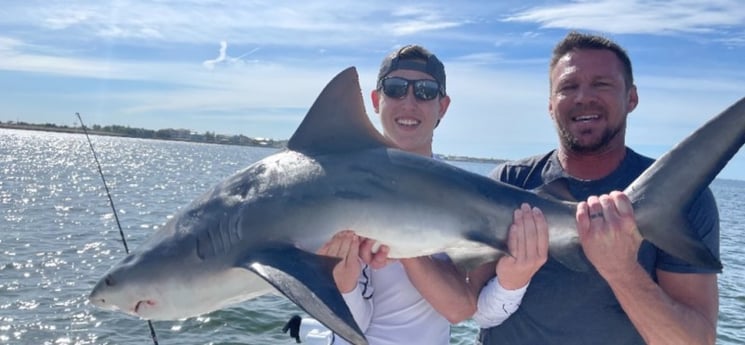 Bull Shark Fishing in Tampa, Florida
