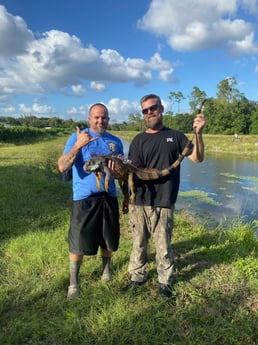 Iguana Fishing in Fort Lauderdale, Florida