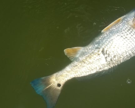 Redfish fishing in San Leon, Texas