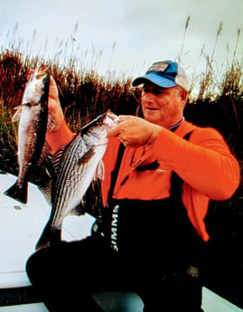 Hybrid Striped Bass, Speckled Trout / Spotted Seatrout Fishing in Jacksonville, Florida