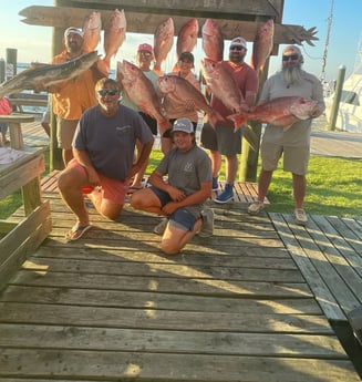 Cobia, Red Snapper fishing in Gulf Shores, Alabama