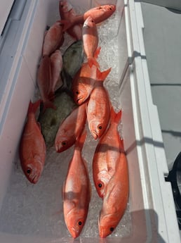 Fishing in Fort Lauderdale, Florida