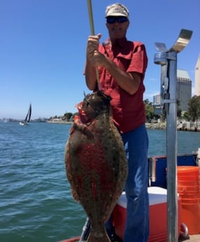 Halibut Fishing in San Diego, California