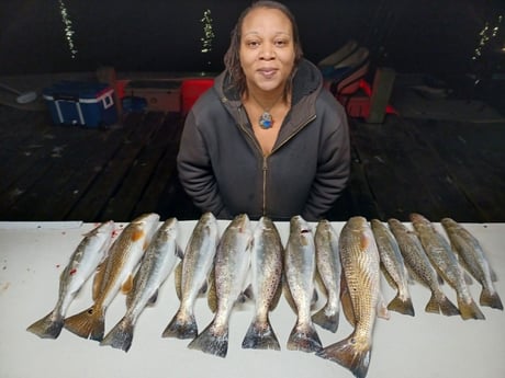 Redfish, Speckled Trout Fishing in Tiki Island, Texas