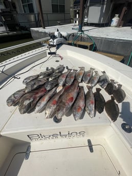 Black Drum, Flounder, Redfish, Sheepshead Fishing in Boothville-Venice, LA, USA