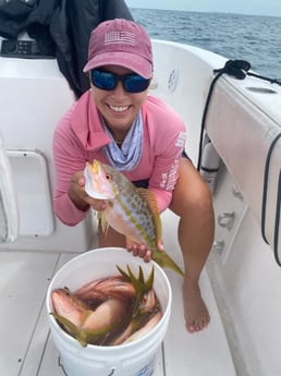 Yellowtail Snapper Fishing in Miami, Florida