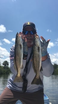 Speckled Trout / Spotted Seatrout fishing in Hudson, Florida
