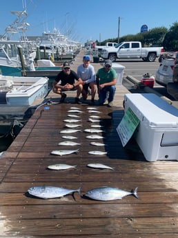 Little Tunny / False Albacore, Spanish Mackerel Fishing in Manteo, North Carolina