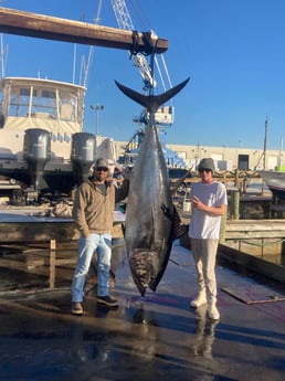 Bluefin Tuna fishing in Wilmington, North Carolina