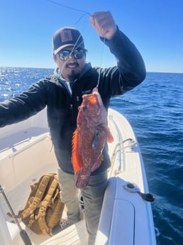 Red Grouper Fishing in Mount Pleasant, South Carolina