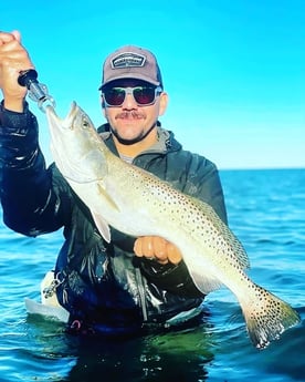 Speckled Trout / Spotted Seatrout Fishing in Port O&#039;Connor, Texas