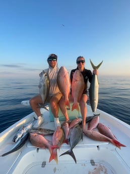 Amberjack, Blackfin Tuna, Little Tunny / False Albacore, Mutton Snapper Fishing in Key West, Florida