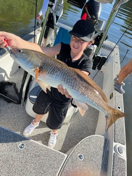 Redfish fishing in Holmes Beach, Florida