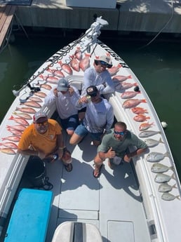 Mangrove Snapper, Red Snapper, Scup, Yellowtail Snapper Fishing in Clearwater, Florida