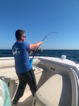 Fishing in Chatham, Massachusetts