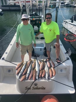 King Mackerel / Kingfish, Yellowtail Snapper Fishing in Key Largo, Florida