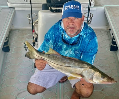 Snook Fishing in St. Augustine, Florida