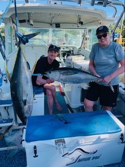 Yellowfin Tuna fishing in Kapa&#039;a, Hawaii