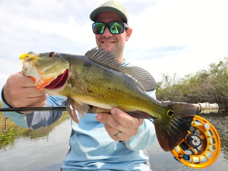 Fishing in Pembroke Pines, Florida