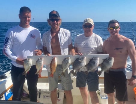 Lane Snapper, Scup, Triggerfish Fishing in Destin, Florida