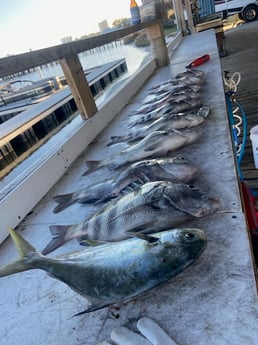 Fishing in Orange Beach, Alabama