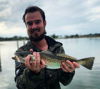 Speckled Trout / Spotted Seatrout Fishing in Melbourne, Florida