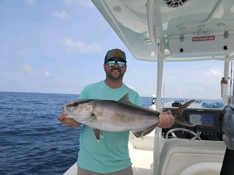 Amberjack Fishing in Panama City, Florida