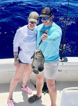 Tripletail Fishing in Islamorada, Florida