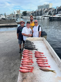 Red Snapper, Yellowtail Snapper Fishing in Fort Lauderdale, Florida
