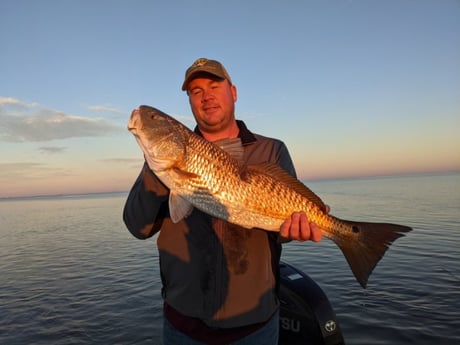 Redfish fishing in Sulphur, Louisiana