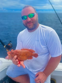 Red Grouper Fishing in Mount Pleasant, South Carolina