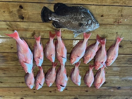 Red Snapper, Tripletail Fishing in Buras, Louisiana