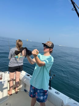 Black Seabass Fishing in Sneads Ferry, North Carolina