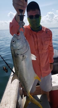 Jack Crevalle fishing in Gulfport, Florida