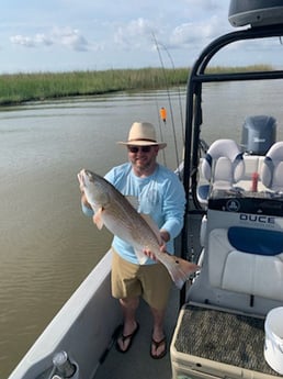 Redfish fishing in Venice, Louisiana