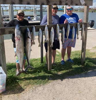 Kingfish, Speckled Trout Fishing in Rockport, Texas