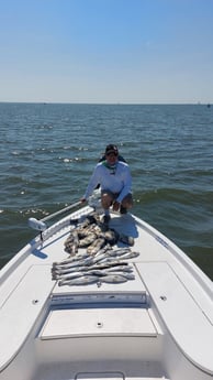 Black Drum, Sheepshead, Speckled Trout Fishing in Saint Bernard, Louisiana