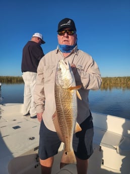 Redfish Fishing in Boothville-Venice, Louisiana, USA